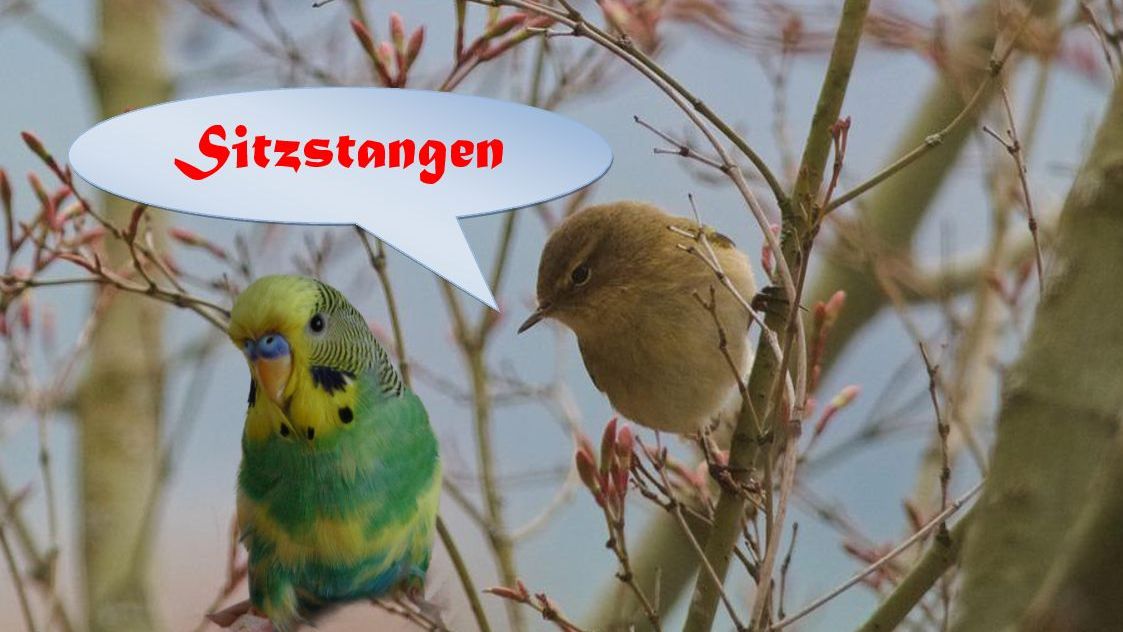 Sitzstangen